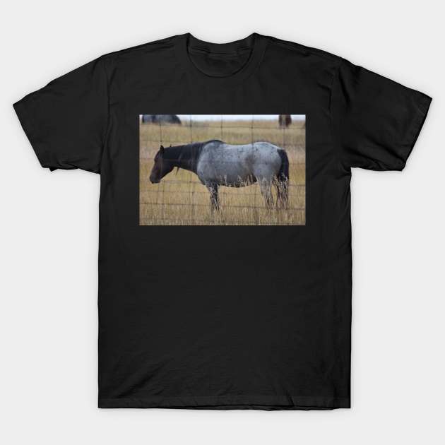 Grey Wild Horse T-Shirt by MarieDarcy